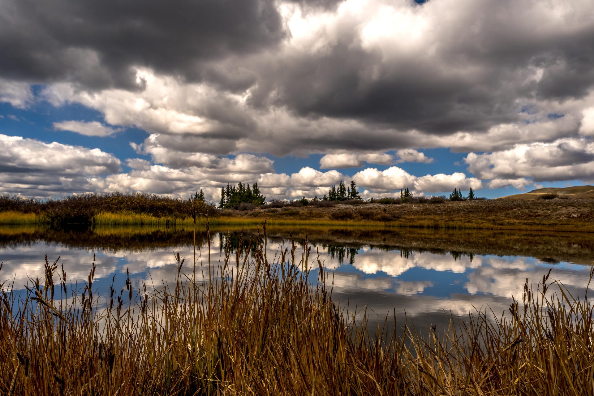 This wide-angle shot captured by Colorado Landscape Photographer Clark Schiring features a willow-rich shoreline of a high alpine lake near the summit of Cottonwood Pass in Colorado&rsquo;s Rocky Mountains. This calming image, with reflections of the cotton-candy clouds mixed with blue hues in the sky.