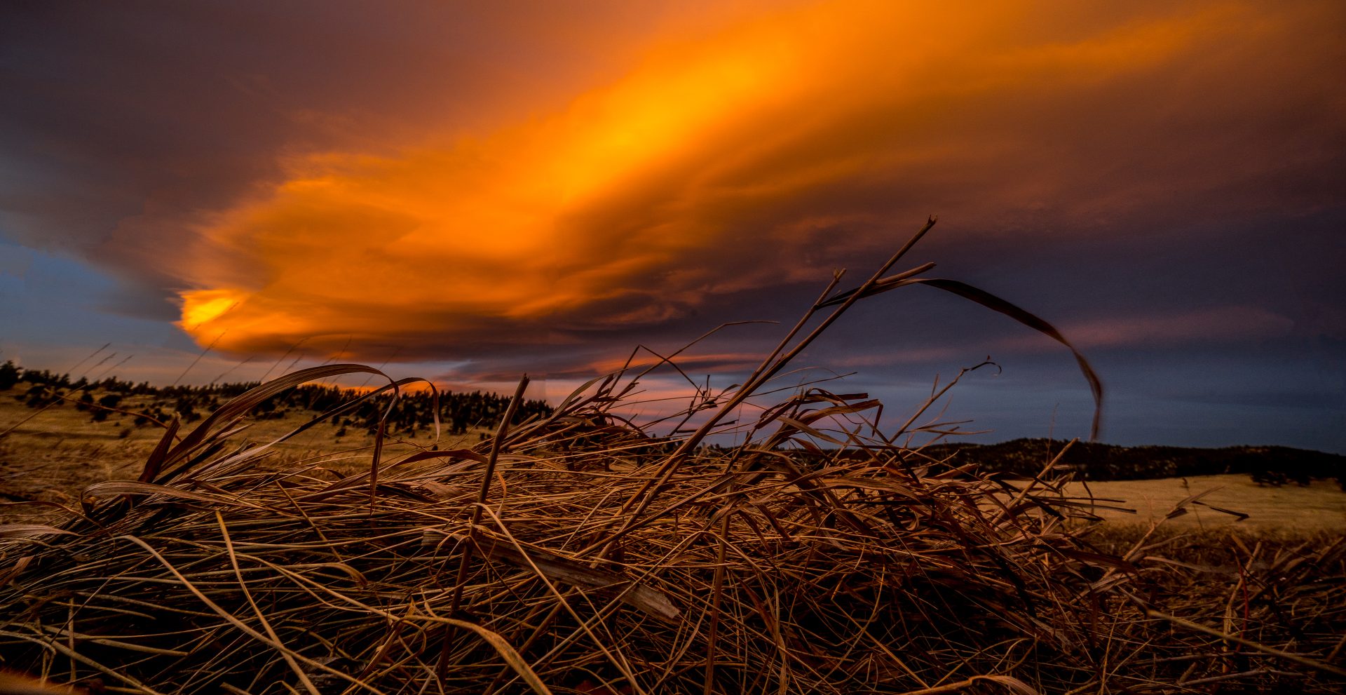 This wide-angle landscape shot was captured from down in the grasses of the Front Range of the Colorado Rocky Mountains. The burner, orange sunset is dramatic and highly vibrant and saturated. The textures in the foreground are juxtaposed with the smooth textures in the sky, just as the less-saturated colors of the grasses contrast with the bright colors in the sky.
